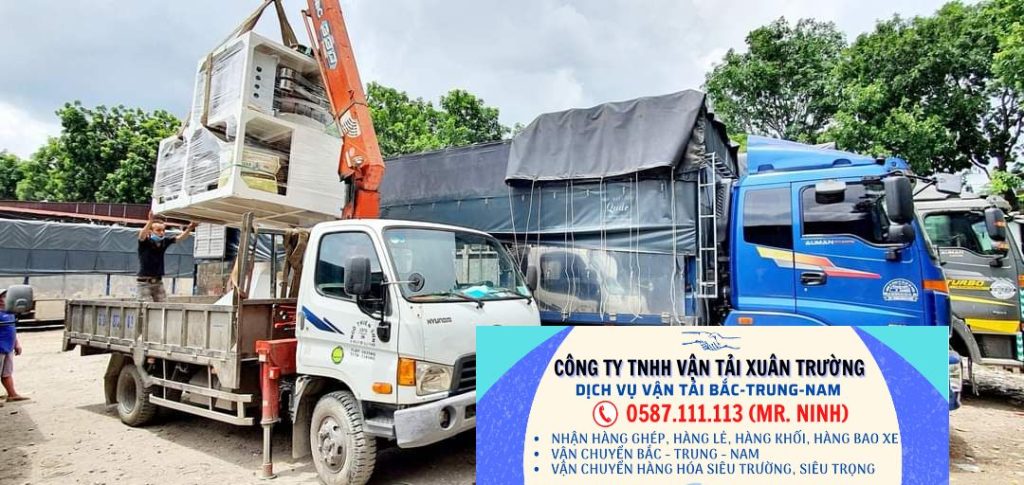 Tin Tức